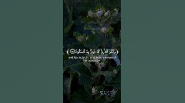 تلاوة عطرة من سورة الحشر للقارئ زين العابدين الحديدي
