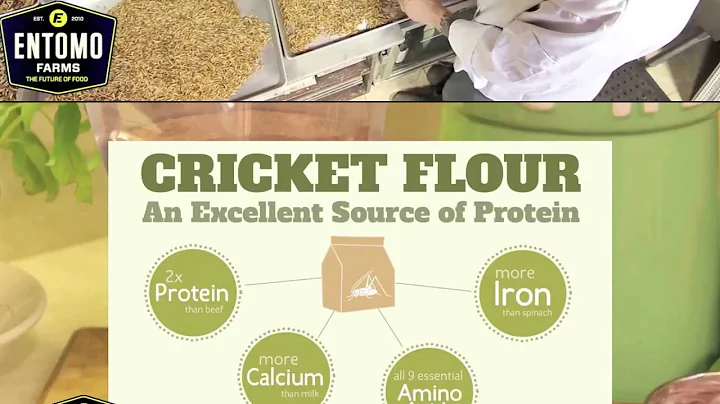 2016 Innovation/Research & Development Award Finalists - Peterborough Business Excellence Awards