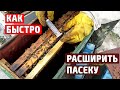 Быстрое расширение пасеки Формирование отводков пчел  Весенние работы на пасеке