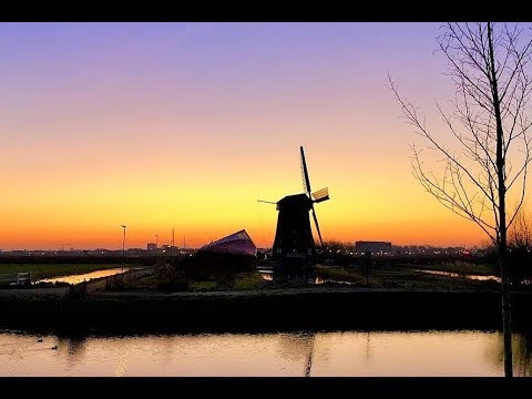 Robbenoordbos & Heilooërbos Wieringerwerf - Heiloo The Netherlands 15-02-2019 Vlog 396