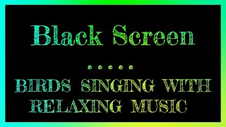 Birds Chirping Black Screen | Relaxing Music | Black Screen Sleep Music | Dark Screen Bird Sounds screenshot 2