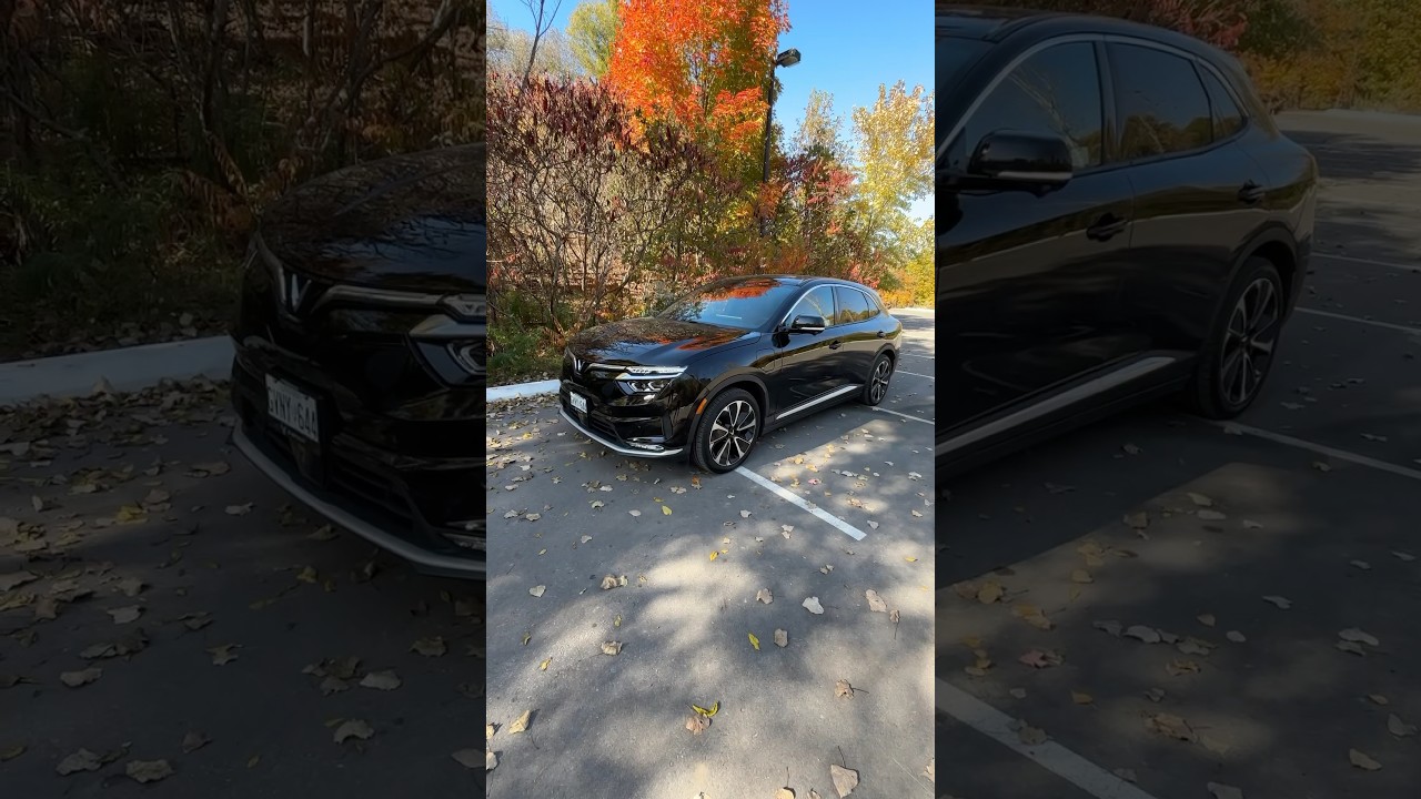 Vinfast VF3 Colors Carmeet Carculture Carvlog Vinfast Vf3 - Video