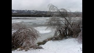 картинка: 