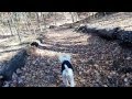 大和田緑地公園を散歩 アンジー