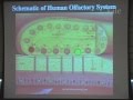 4/14/07  Charles Greer - Scents and Sensibility: The Molecular Mechanisms of Olfaction