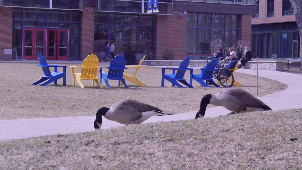 top movies on netflix Birds of A Feather