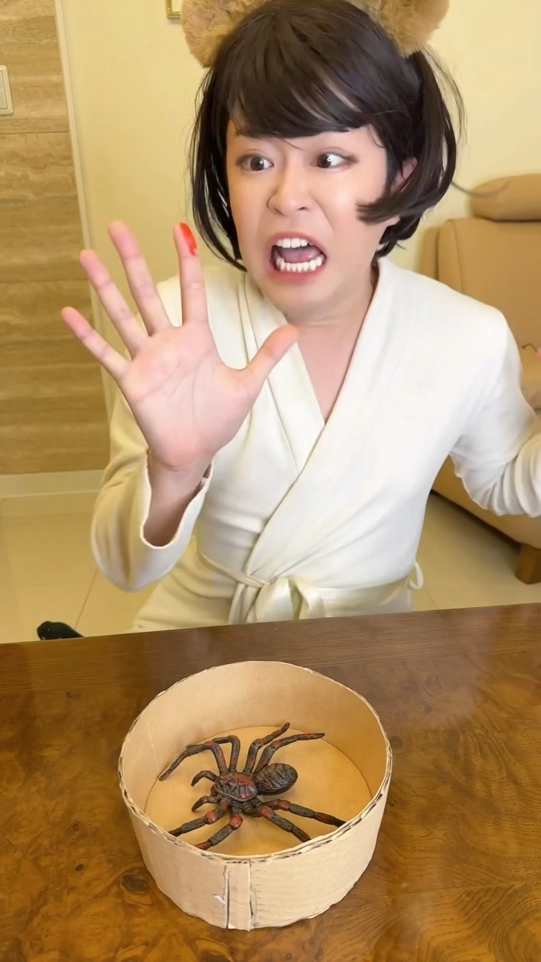 CATCH A SPIDER WITH A CARDBOARD PLATE！#asmr