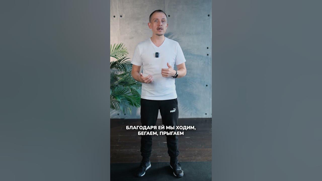 Самая сильная мышца