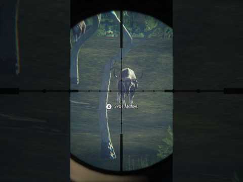 My First DIAMOND 💎 BANTANG theHunter : Call of The Wild [MXE GAMING] #cotw #cotwgameplay #gaming