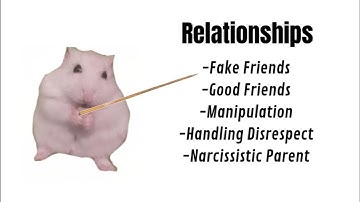 🤝Relationships — Explained with Hamsters