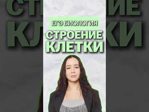 строение клетки #биология