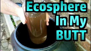 A New Ecosphere Project - Rainwater Butt (and FAQ about the last one)