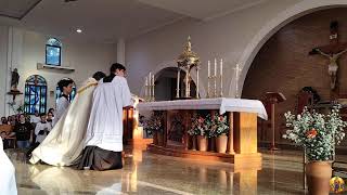 Solenidade de Corpus Christi, Igreja Catolica de Maracai, Dia 04/05/2026 #misssaovivo