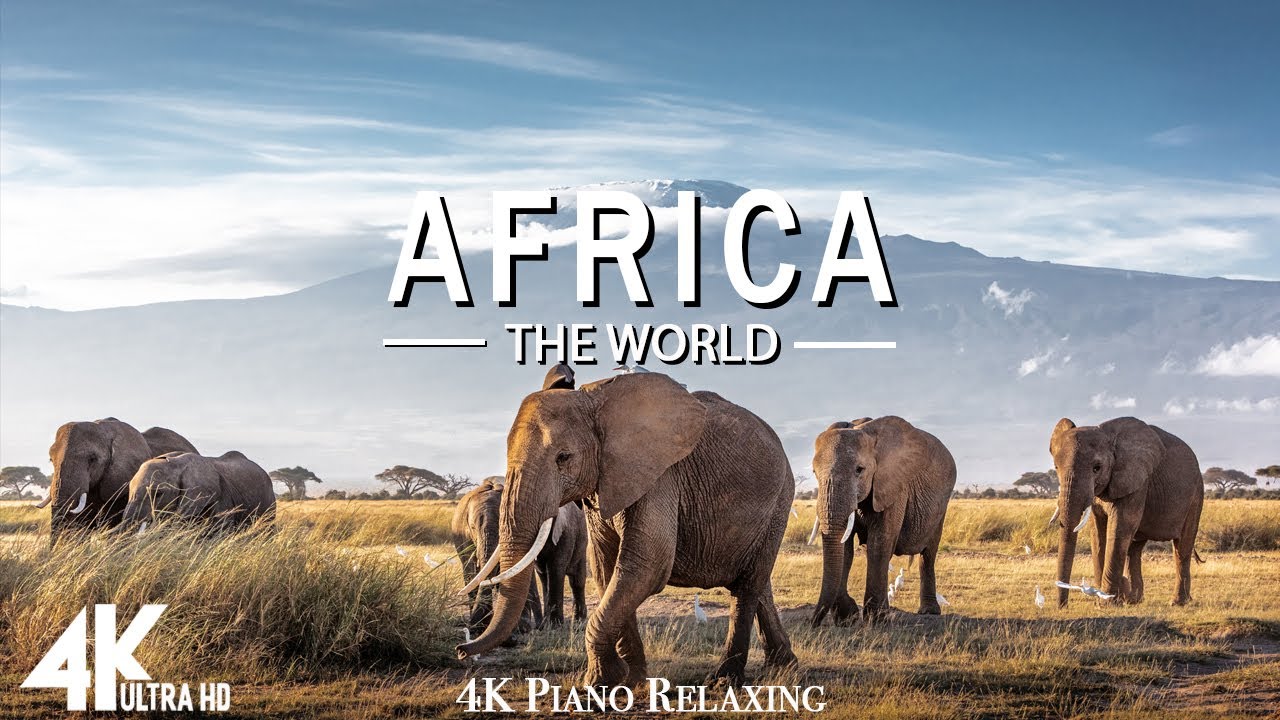 ⁣FLYING OVER AFRICA (4K UHD) - Relaxing Music Along With Beautiful Nature Videos - 4K Video HD