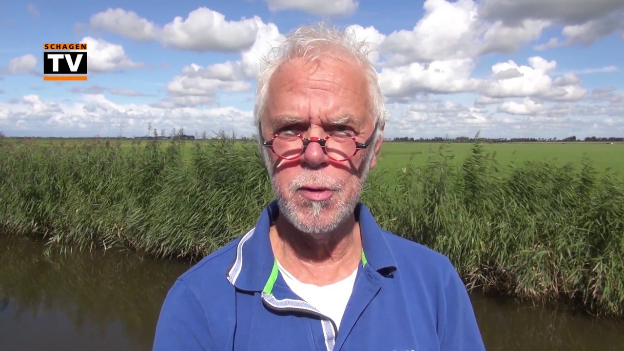 PROMO - Mens erger je niet kronno zomber edad