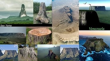 Do You Understand What You Are Seeing?