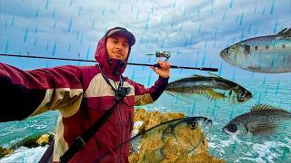 SUPER Pescata sotto la PIOGGIA! 4 Specie Diverse di Pesci a Spinning da Riva nel Mare Adriatico