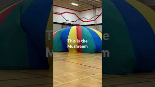 Remember When the Parachute  Would Come  Out in Gym Class?  #Best Day Ever! #parachute #shorts