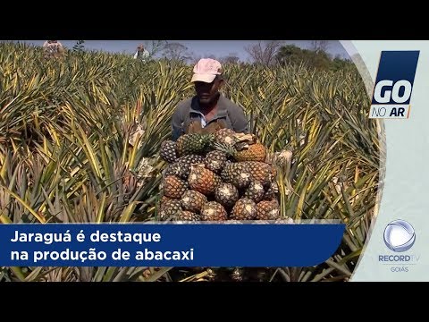 GA - Jaraguá