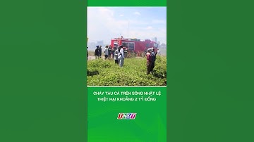 Cháy tàu cá trên sông Nhật Lệ, thiệt hại khoảng 2 tỷ đồng #nongnghiepmientay