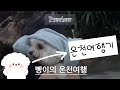 강아지랑 온천하는 방법 | 애견동반여행 | 온천여행 |국내여행|