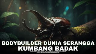 The Strongest Insect on Earth! It Can Lift 850 Times Its Body Weight | #Alamaya