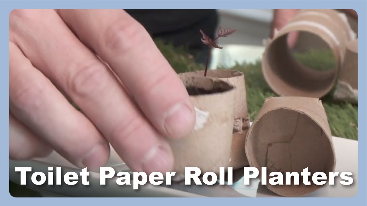 How To Turn A Toilet Paper Roll Into A Planter Mission Repurpose With