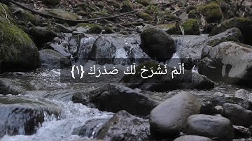 أَلَمْ نَشْرَحْ لَكَ صَدْرَكَ || سورة الشرح للقارئ مولانا كورتش