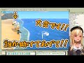 【ホロライブ切り抜き】打ち上げられていたジョニーをそっとしておくフレアちゃん【不知火フレア】