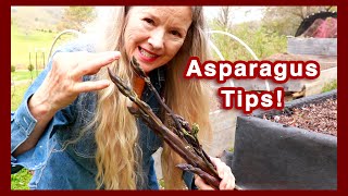 HUGE Garden Tour, Asparagus Tips + Enlightening Book!