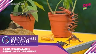 Menengah Rendah (2022) | Sains (Tingkatan 2): Pengelasan Organisma