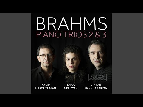 Watch Piano Trio No. 3 in C Minor, Op. 101: I. Allegro energico on YouTube