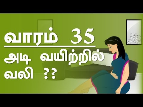 The Pregnancy |