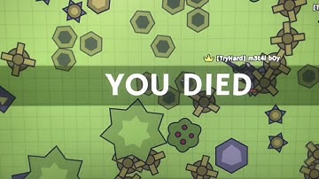 Moomoo.io the project instas.
