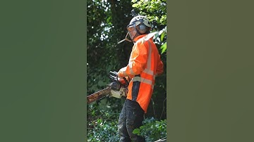 Timbeerrrrrr! Ash fell. The Willow was fine 👀 #arborist #treefelling #treework #chainsaw