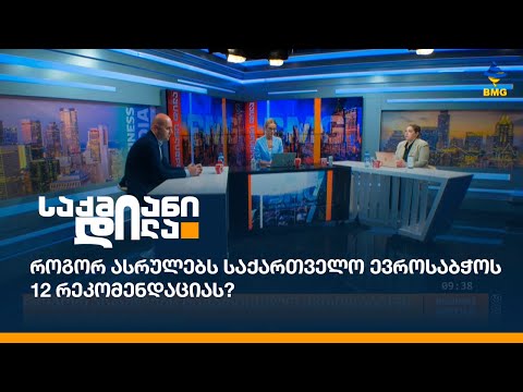 როგორ ასრულებს საქართველო ევროსაბჭოს 12 რეკომენდაციას?