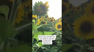 Look Who I Found 2019