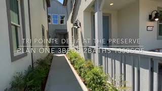 Tri Pointe Delia Plan One At The Preserve of Chino