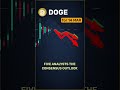 DOGE forecast overview — March 14