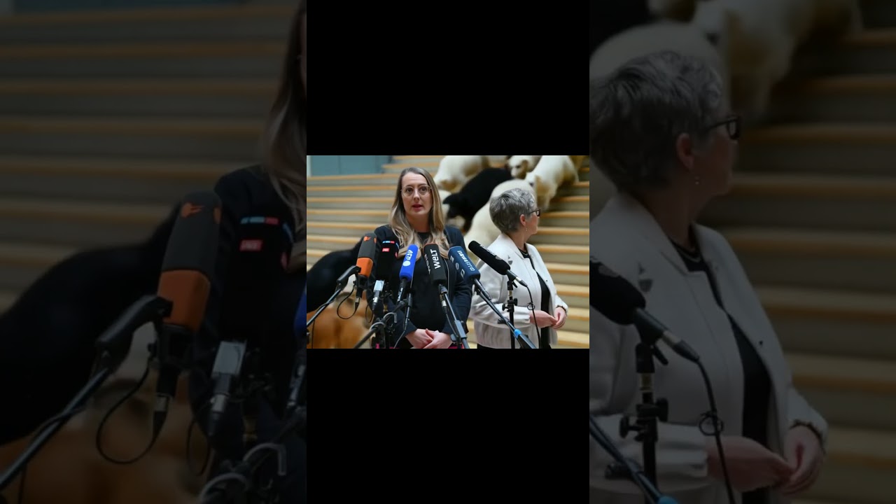 Interview mit Politikerinnen – plötzlich stürmt eine Meute Hunde & Schafe die Treppe herunter! 🐕🐑