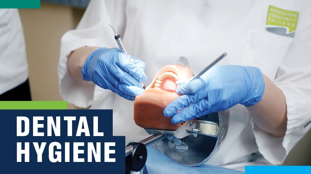Dental Hygiene Program VCC Programs YouTube