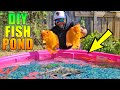 DIY Homemade Pool Fish Pond with Exotic Fish!!!