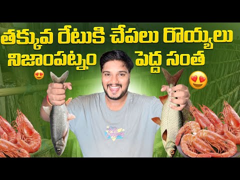 Nizampatnam Fishing Harbour Andhra Pradesh 🌊 | Biggest Fish Market & Fresh Catch Auction