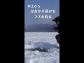 (釣り)氷上からワカサギ泳がせマスを釣る #shorts