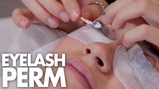 Eyelash Perm Redemption! (Beauty Trippin)