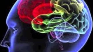 Man Brain - Belik boom