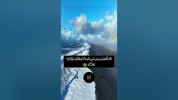 الآية 66 الى 67 الآية من سورة الانبياء للقارئ اسلام صبحي #الله #قرآن #راحة_نفسية #اكسبلور #foryou