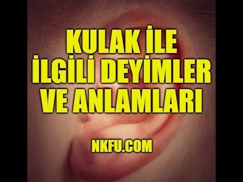 Kulak İle İlgili Deyimler ve Anlamları