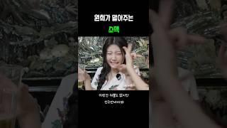 [아일릿] 원희가 말아주는 소맥