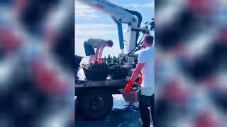 Clam farming